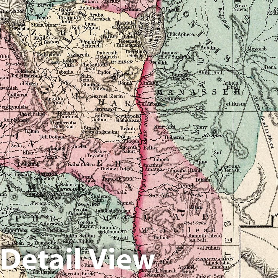 Historic Map : 1877 A new map of Palestine or the Holy Land - Vintage Wall Art