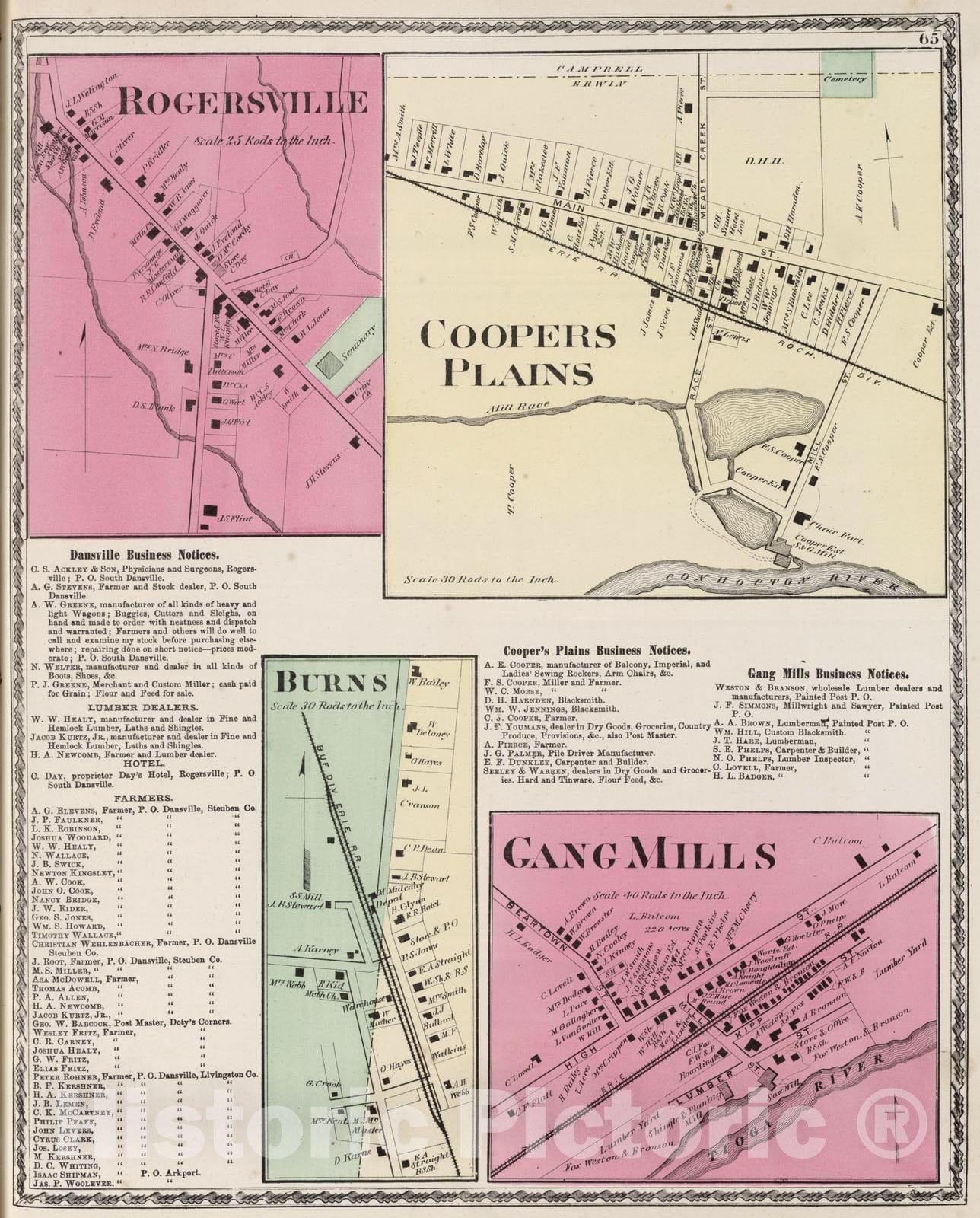 Historic Map : 1873 Rogersville. Coopers Plains. Burns. Gang Mills. - Vintage Wall Art