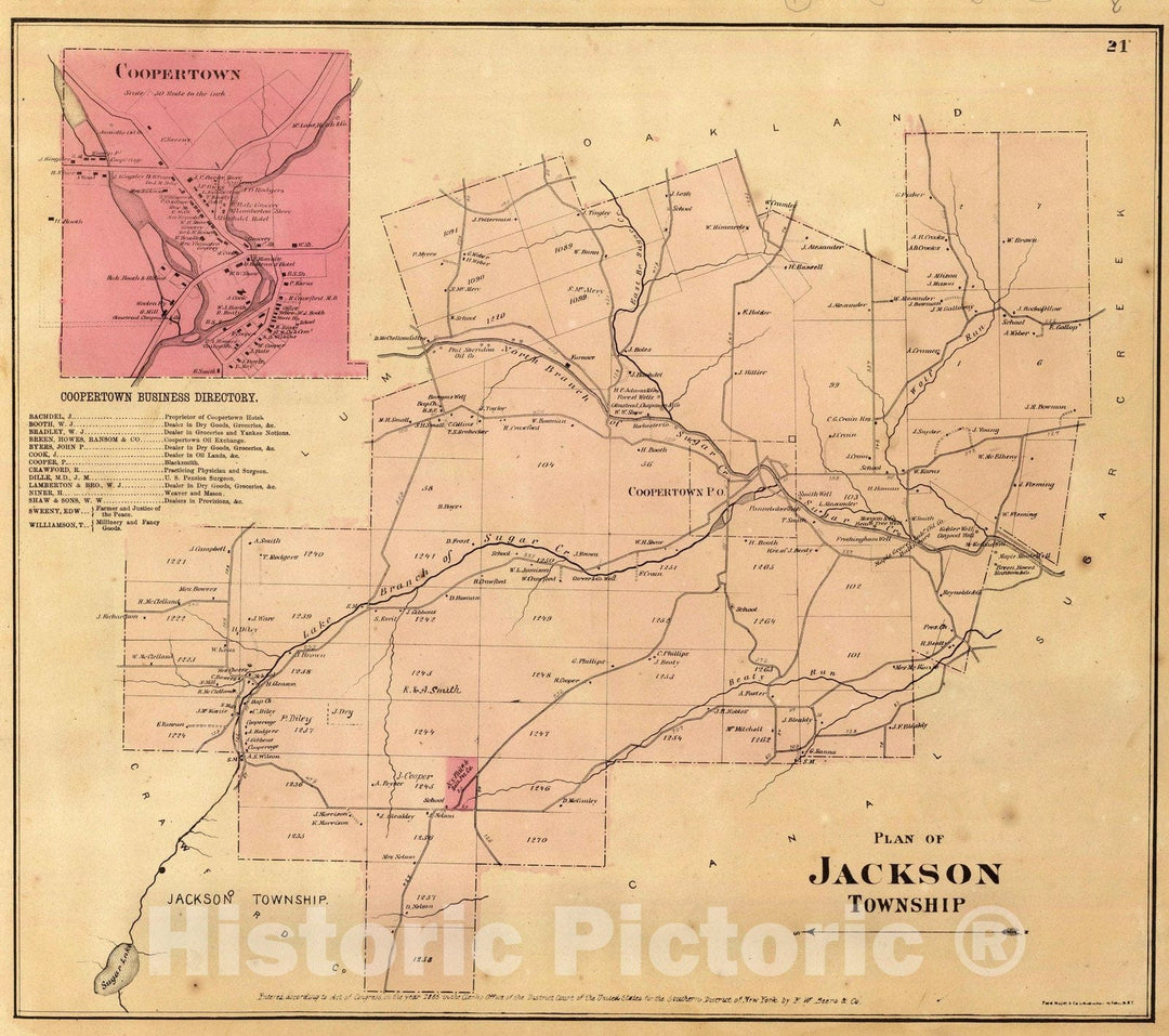 Historic Map : 1865 Jackson Township. - Vintage Wall Art