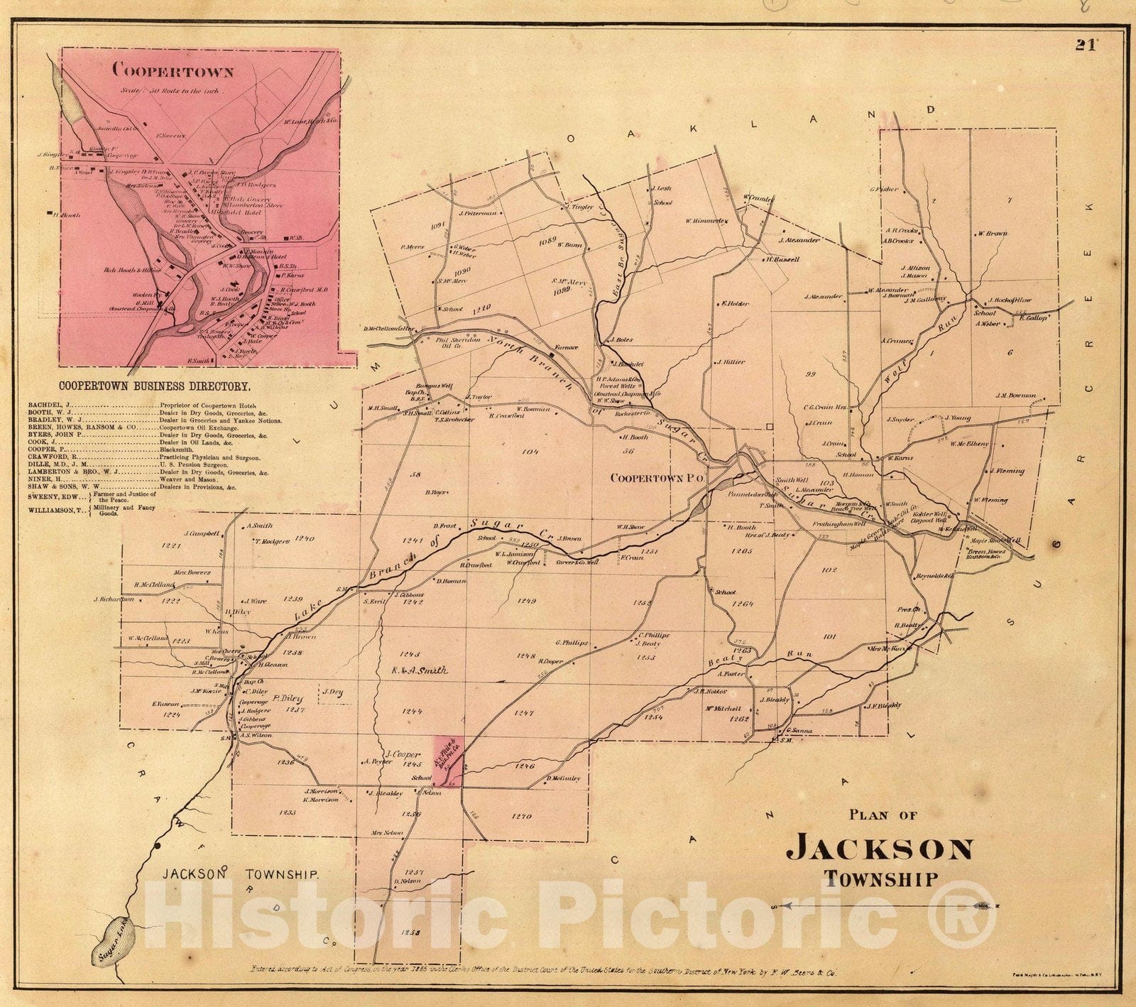 Historic Map : 1865 Jackson Township. - Vintage Wall Art
