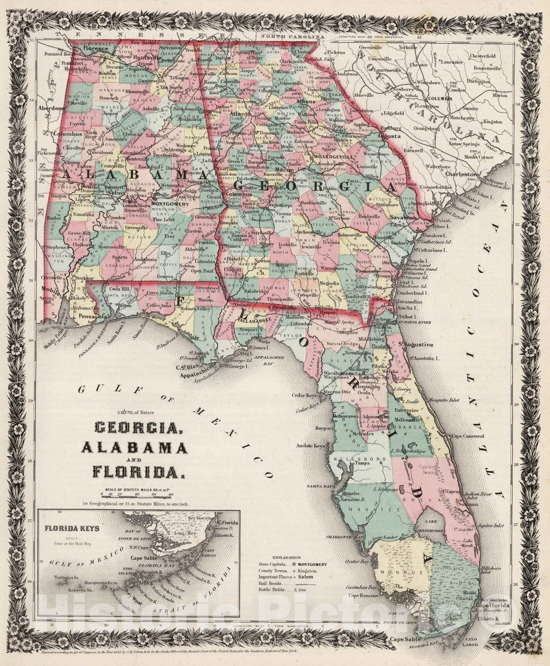 Historic Map : 1858 Georgia, Alabama, and Florida. - Vintage Wall Art