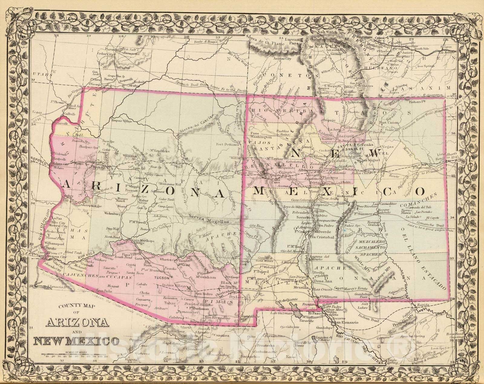 Historic Map : 1880 Arizona, New Mexico. - Vintage Wall Art