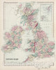 Historic Map : 1878 British Isles. - Vintage Wall Art