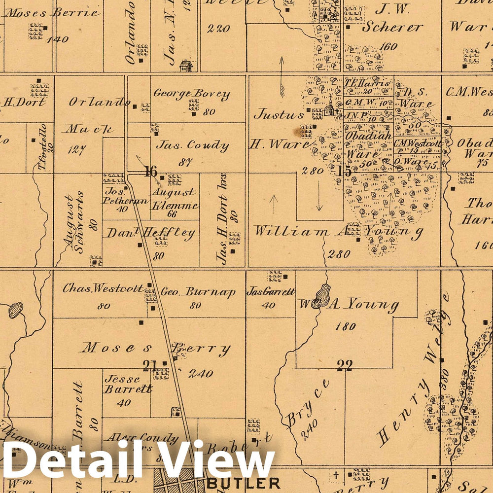 Historic Map : 1874 Butler Grove Township, Montgomery County, Illinois. - Vintage Wall Art