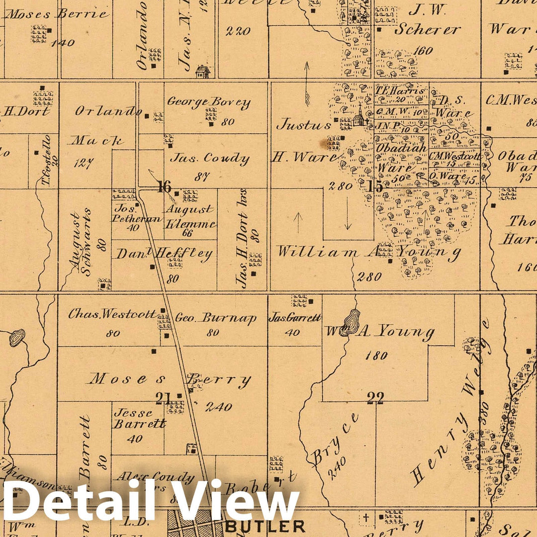 Historic Map : 1874 Butler Grove Township, Montgomery County, Illinois. - Vintage Wall Art