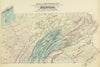 Historic Map : 1872 Penn. flora. - Vintage Wall Art