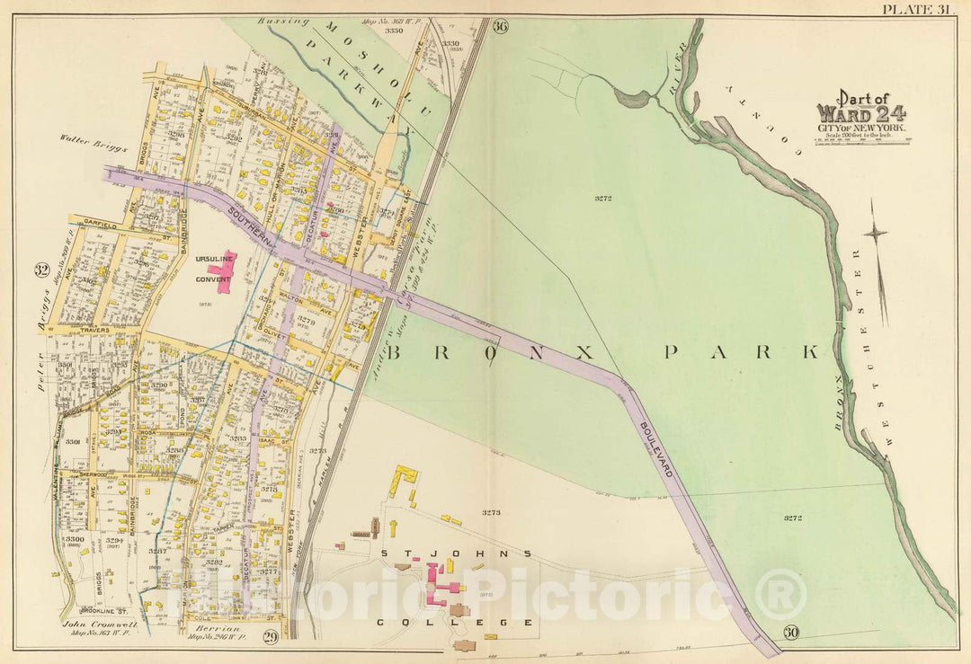 Historic Map : City Atlas - 1893 31, Ward 24. - Vintage Wall Art