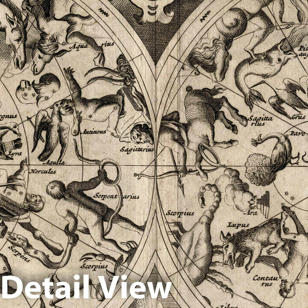 Historic Map : 1734 Historical Globe Celeste. - Vintage Wall Art