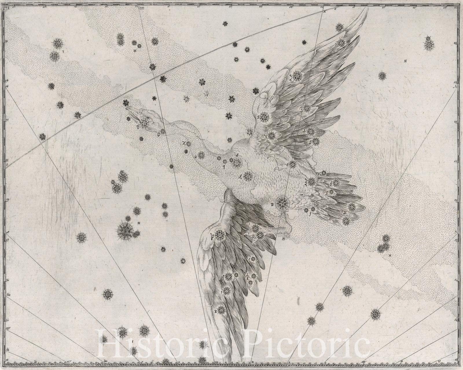 Historic Map : Constellation: Cygnus, The Goose, 1655 Celestial Atlas - Vintage Wall Art