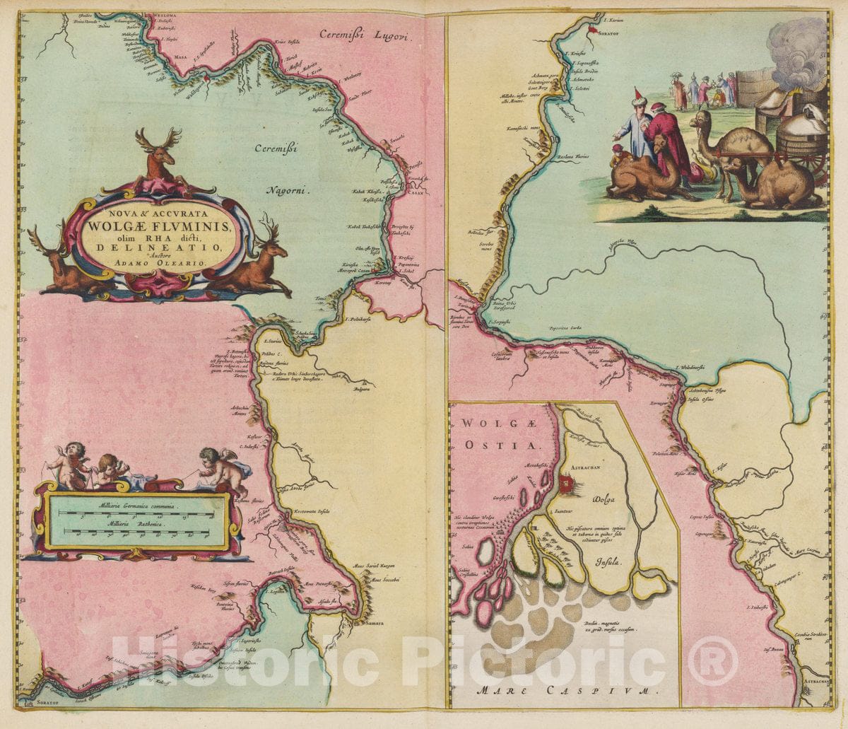 Historic Map : Russia, Volga River Region Nova & Accvrata Wolgae Flvminis, 1665 Atlas , Vintage Wall Art