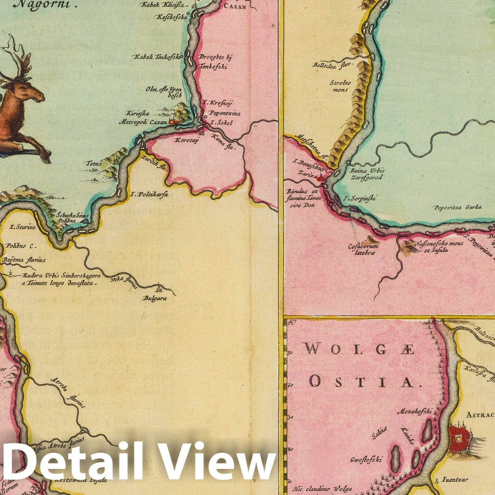 Historic Map : Russia, Volga River Region Nova & Accvrata Wolgae Flvminis, 1665 Atlas , Vintage Wall Art