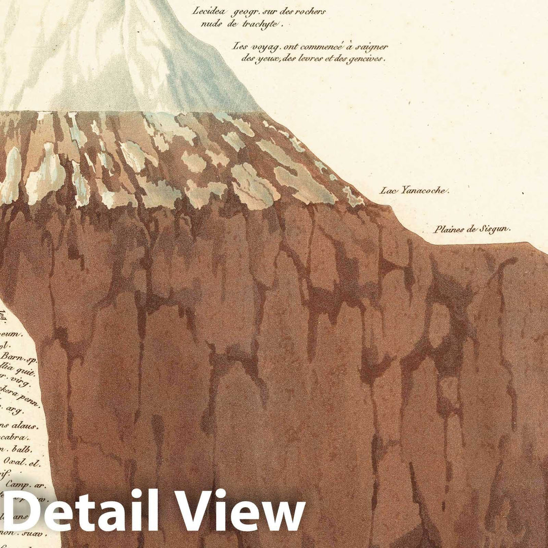 Historic Map : Chimborazo Volcano(Ecuador)Voyage vers la cime du Chimborazo 1802., Vintage Wall Art