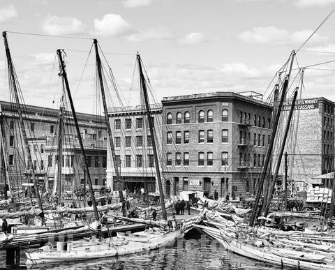 Baltimore Historic Black & White Photo, Oyster Luggers, c1905 -