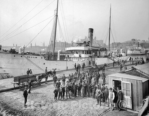 Baltimore Historic Black & White Photo, Longshoremen on Pay Day in the Port, c1905 -
