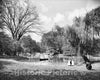 Historic Black & White Photo - Brooklyn, New York - On the Lake in Prospect Park, c1910 -