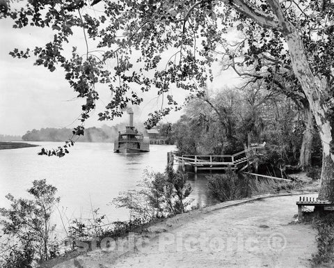 Charleston Historic Black & White Photo, A Steamboat Landing at Magnolia Gardens, c1900 -