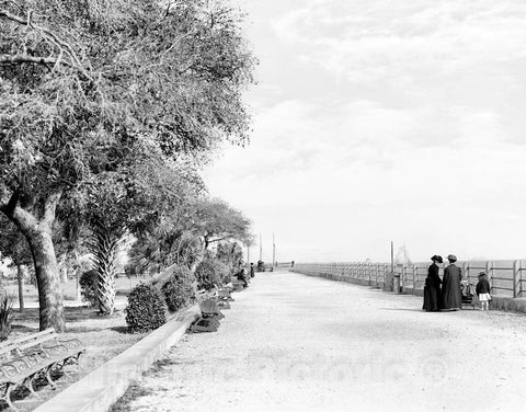 Historic Black & White Photo - Charleston, South Carolina - The Battery Looking Toward Fort Sumter, c1915 -