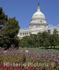 Washington, D.C. Photo - The United States Capitol Building Sits ATOP Capitol Hill-