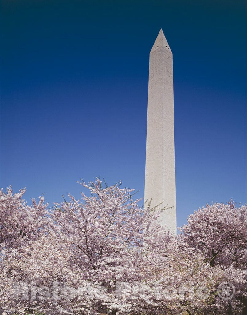 Washington, D.C. Photo - Washington Monument, Washington, D.C.