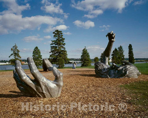 Photo - The Awakening Sculpture, Washington, D.C.- Fine Art Photo Reporduction