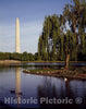 Washington, D.C. Photo - Washington Monument from Constitution Gardens, Washington, D.C.