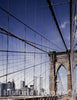 New York, NY Photo - New York World Trade Center View, New York, New York