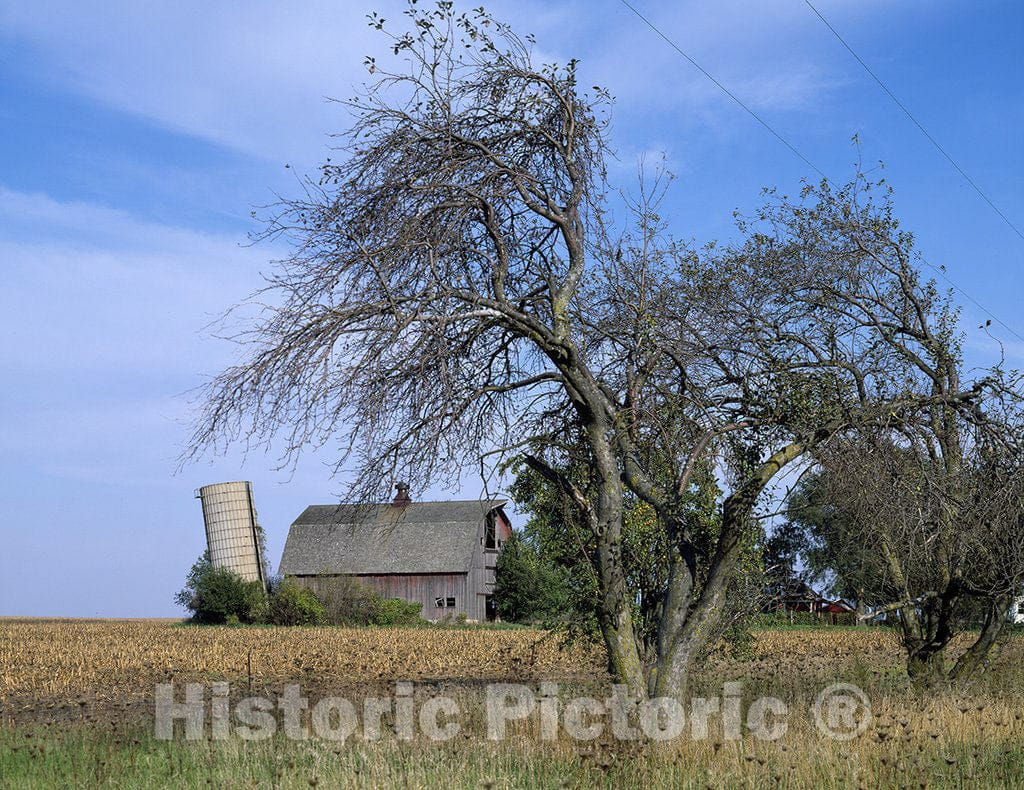 Dekalb County, IL Photo - Possibly The Last Days of an Old barn, Note The Leaning silo, in Dekalb County, Illinois