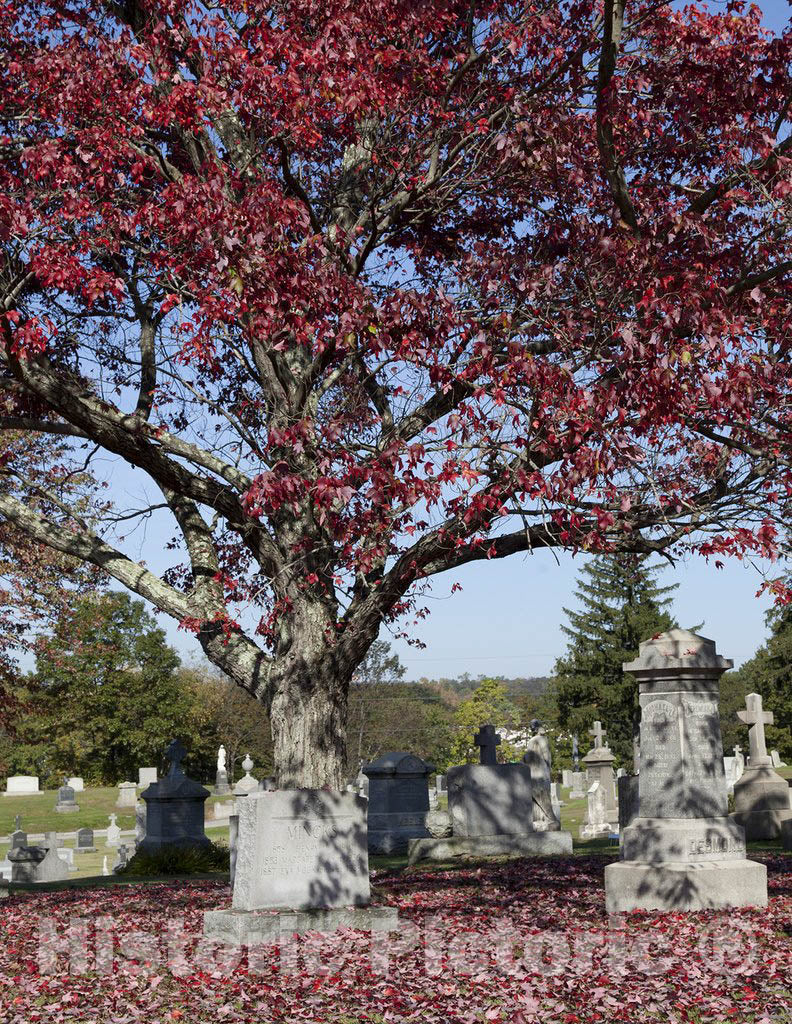 Darien, CT Photo - St. John Cemetery, Darien, Connecticut