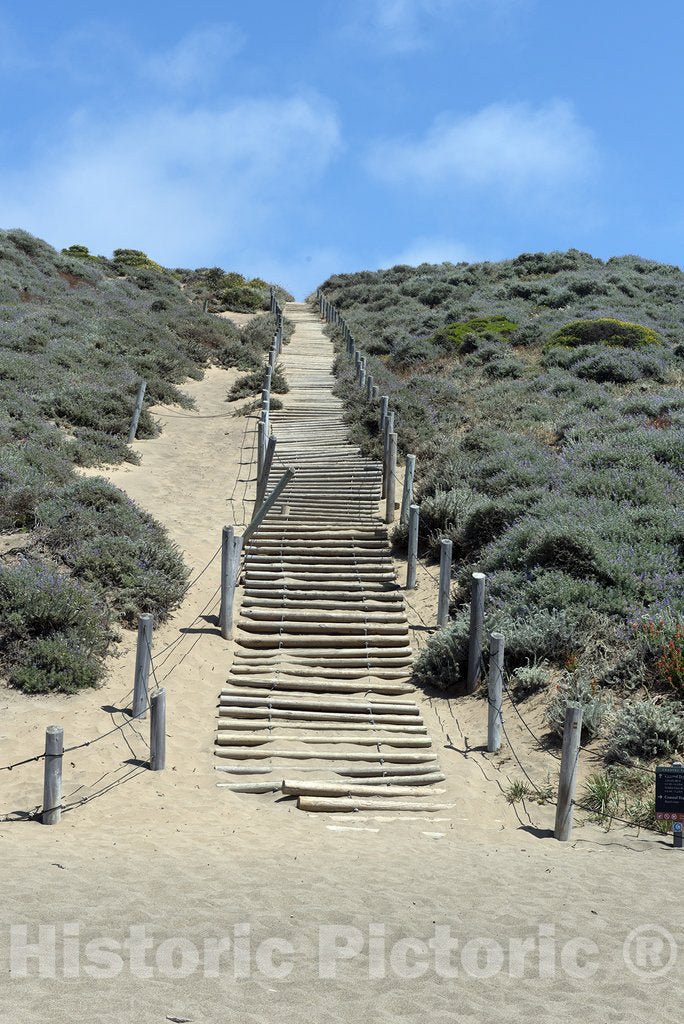 San Francisco, CA Photo - Steps in sand at Baker Beach in San Francisco, California