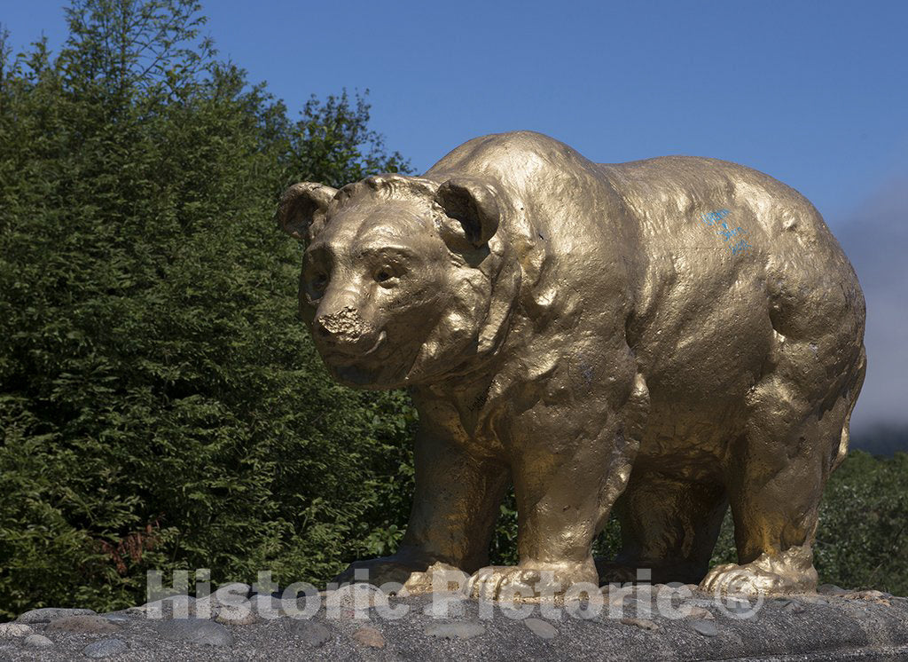 California Photo - Golden Bear Statue in Northern California