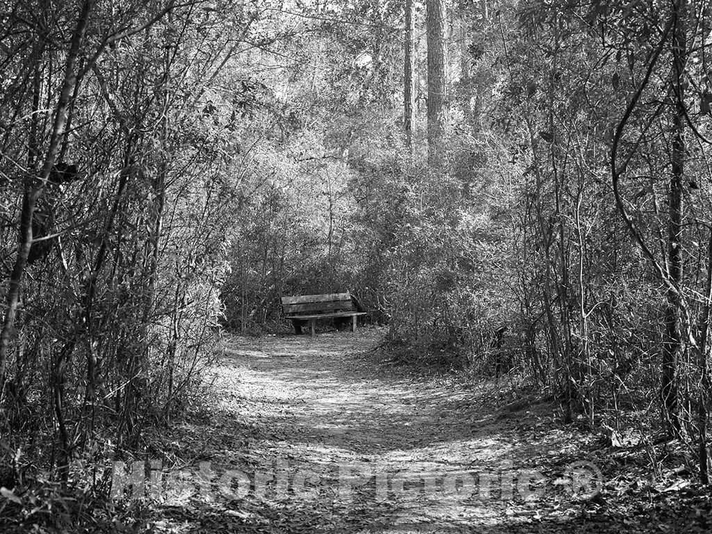 Photo- Park Bench for Resting Along a Path Through The Polk County Por ...