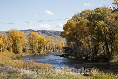 Parshall, CO Photo - Fishermen Try Their Luck in The Colorado River, Whose cottonwoods are aflame with Autumn Colors Near Parshall, Colorado.