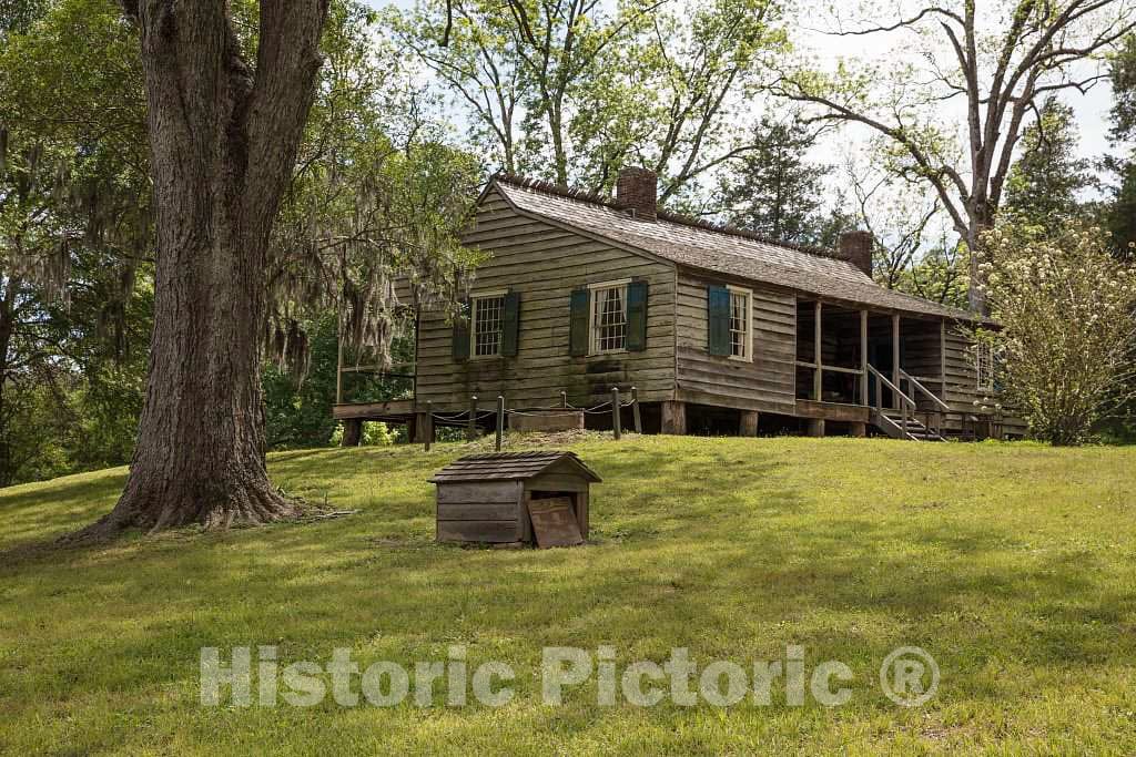 Photo Structure on The Mount Locust Inn and Plantation Grounds, Locat