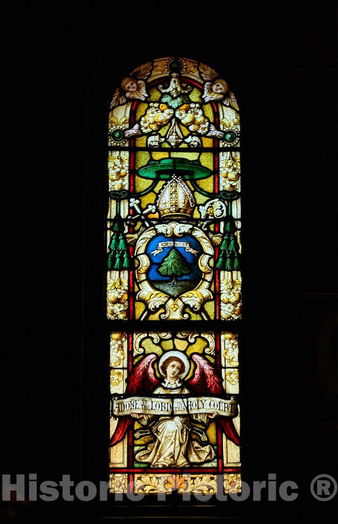 Photo- Stained-Glass Window at The Catholic Basilica of St. Lawrence in Asheville, North Carolina 1 Fine Art Photo Reproduction
