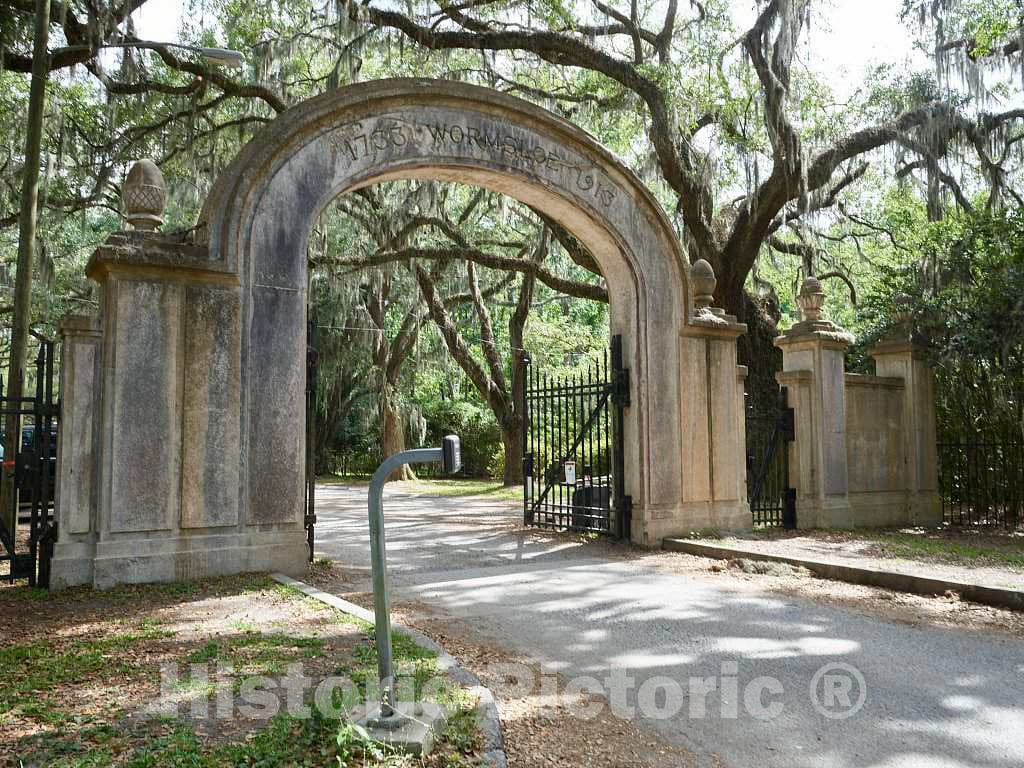Photo- Entrance to The Wormsloe Historic Site in Savannah, Georgia 1 Fine Art Photo Reproduction