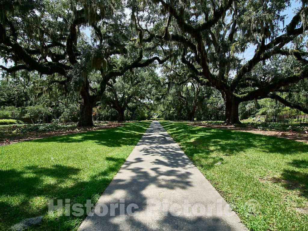 Photograph - Scene at Brookgreen Gardens, a vast Complex of Sculpture Gardens, Ecosystem Trails, a Wildlife Preserve and a Small Zoo on Four Former Rice plantations in Murrells Inlet 7