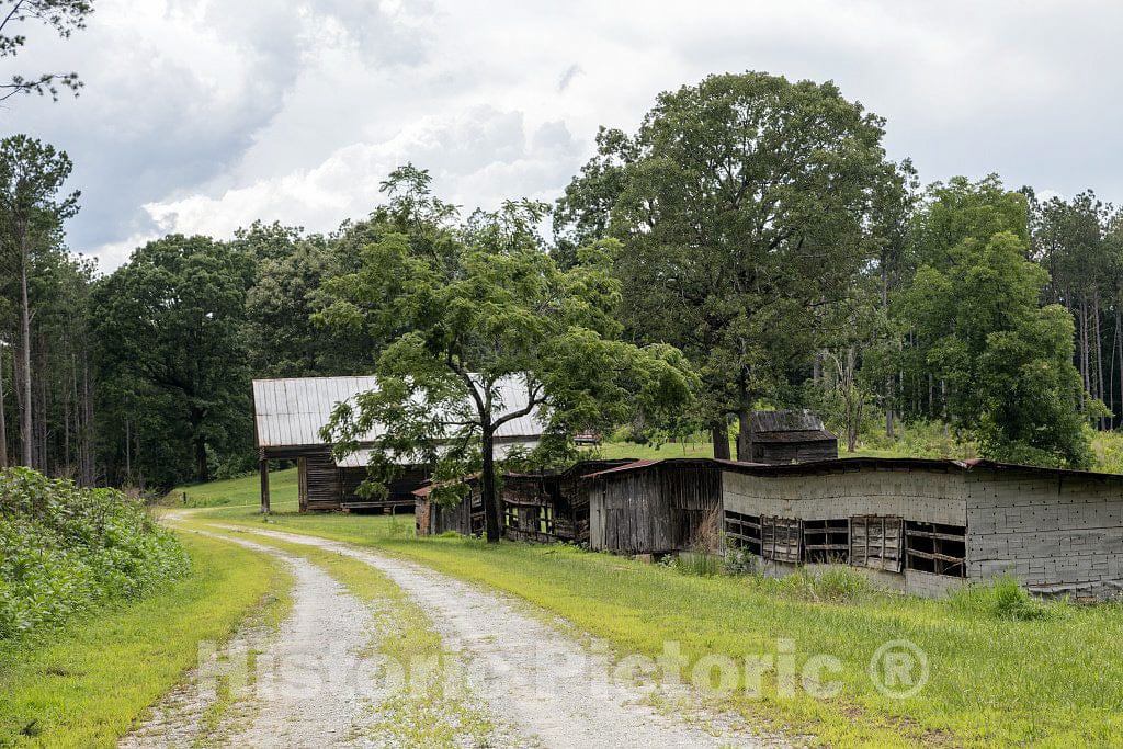 Photo - Rural Road and Cabins Near Aerial, Georgia- Fine Art Photo Reporduction