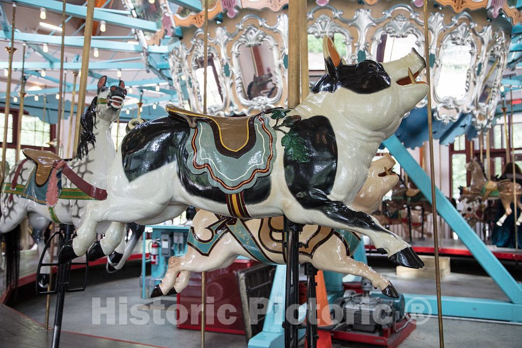 Photo- The Pullen Park Carousel in The Civic Park of The Same Name in Raleigh, The Capital City of North Carolina 10 Fine Art Photo Reproduction
