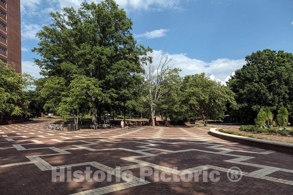 Photo- The Brickyard at North Carolina State University in Raleigh, The Capital City of North Carolina 1 Fine Art Photo Reproduction