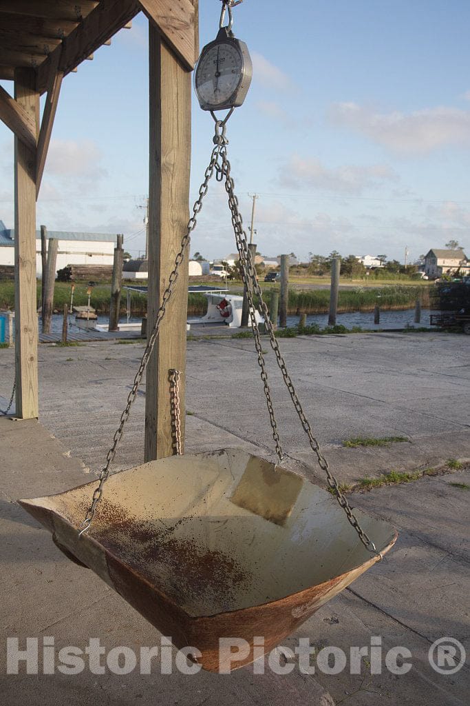 Photo - Fish Scale in Wanchese, an Old Fishing Port, which in fact, was The Very First Fishing Village, on Roanoke Island in North Carolina's Outer Banks