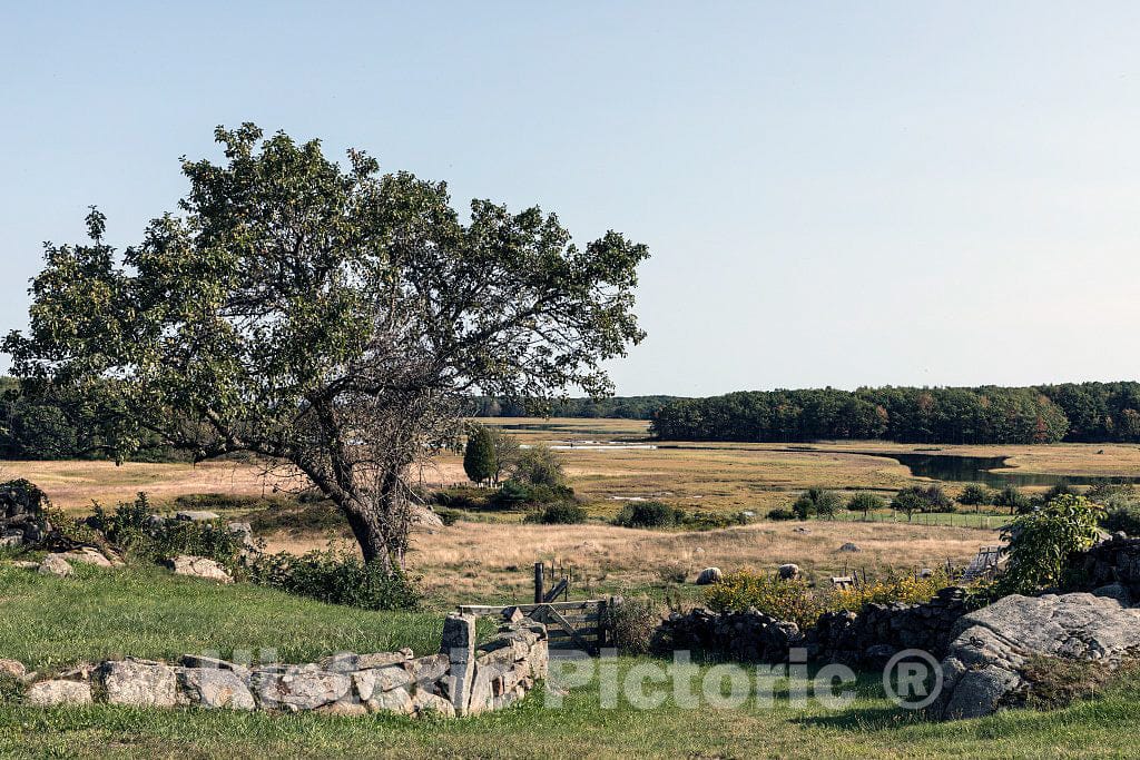 Photo - Marsh Scene Near Kennebunkport, Maine- Fine Art Photo Reporduction