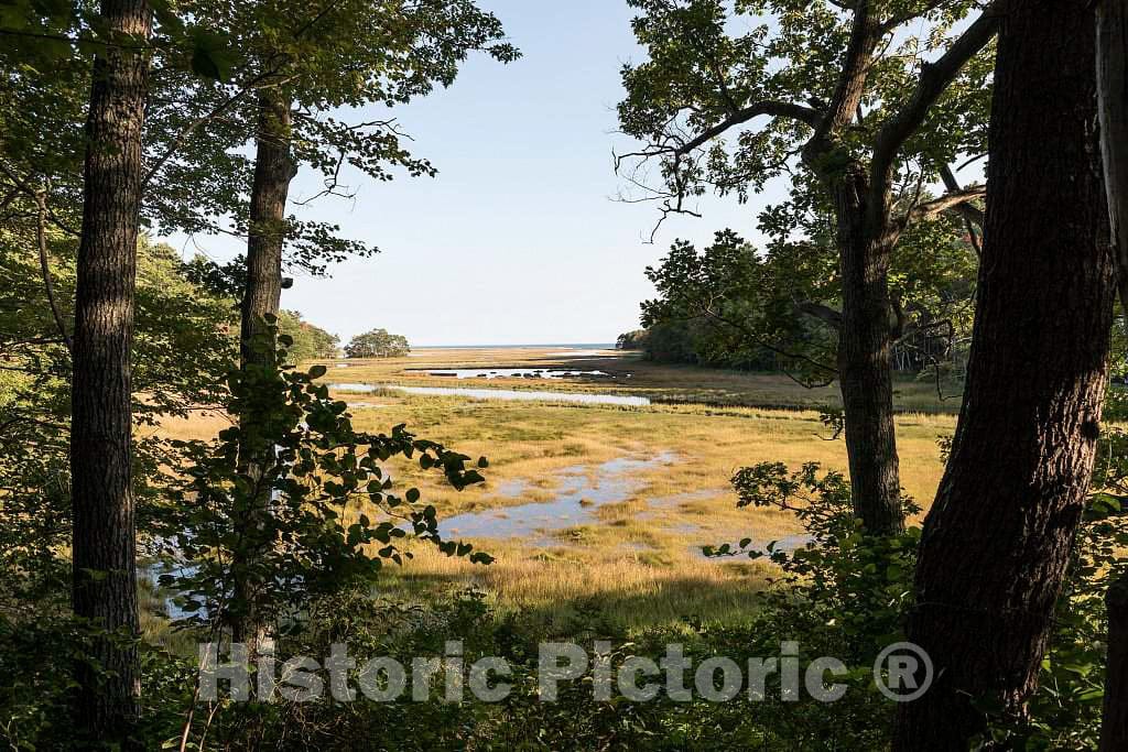 Photo- View from Woodland Trail alongside estuarine marshes in The Rachel Carson National Wildlife Reserve in Wells, Maine 1 Fine Art Photo Reproduction