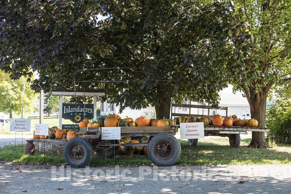 Photo - Islanders Farm pumpkin stand in South Hero, Vermont, the southern half of Grand Isle, one of the Lake Champlain Islands chain in Lake Champlain- Fine Art Photo Reporduction