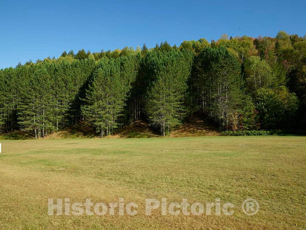 Photo - an exceptionally Orderly Row of evergreens Near Colebrook, New Hampshire- Fine Art Photo Reporduction