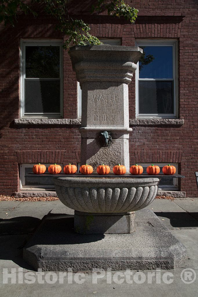 Photo- Old streetside watering trough for horses, decorated with pumpkins for the fall season, in Lancaster, New Hampshire. On the opposite side is a drinking fountain for humans