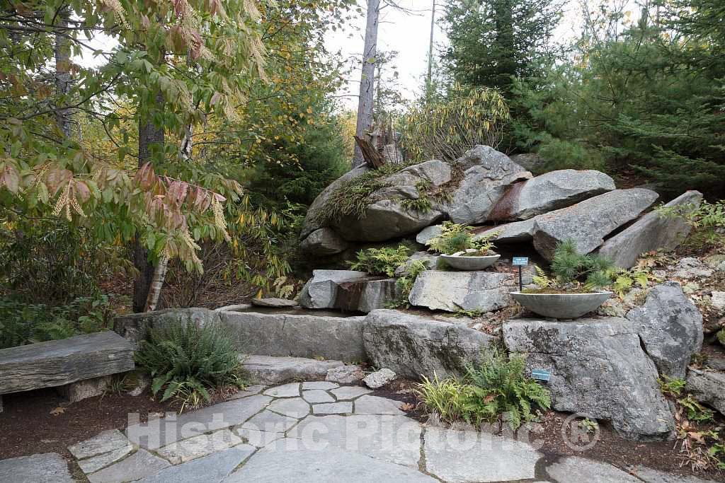 Photo- Scene at The Coastal Maine Botanical Gardens in Boothbay, Maine, a 270-acre Garden on More Than a Mile of Boothbay Harbor Waterfront 5 Fine Art Photo Reproduction