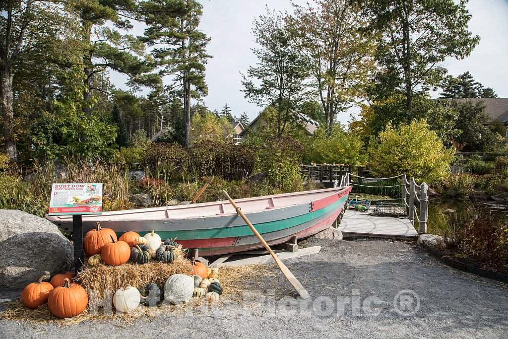 Photo- Fall Display at The Coastal Maine Botanical Gardens in Boothbay, Maine, a 270-acre Garden on More Than a Mile of Boothbay Harbor Waterfront 2 Fine Art Photo Reproduction