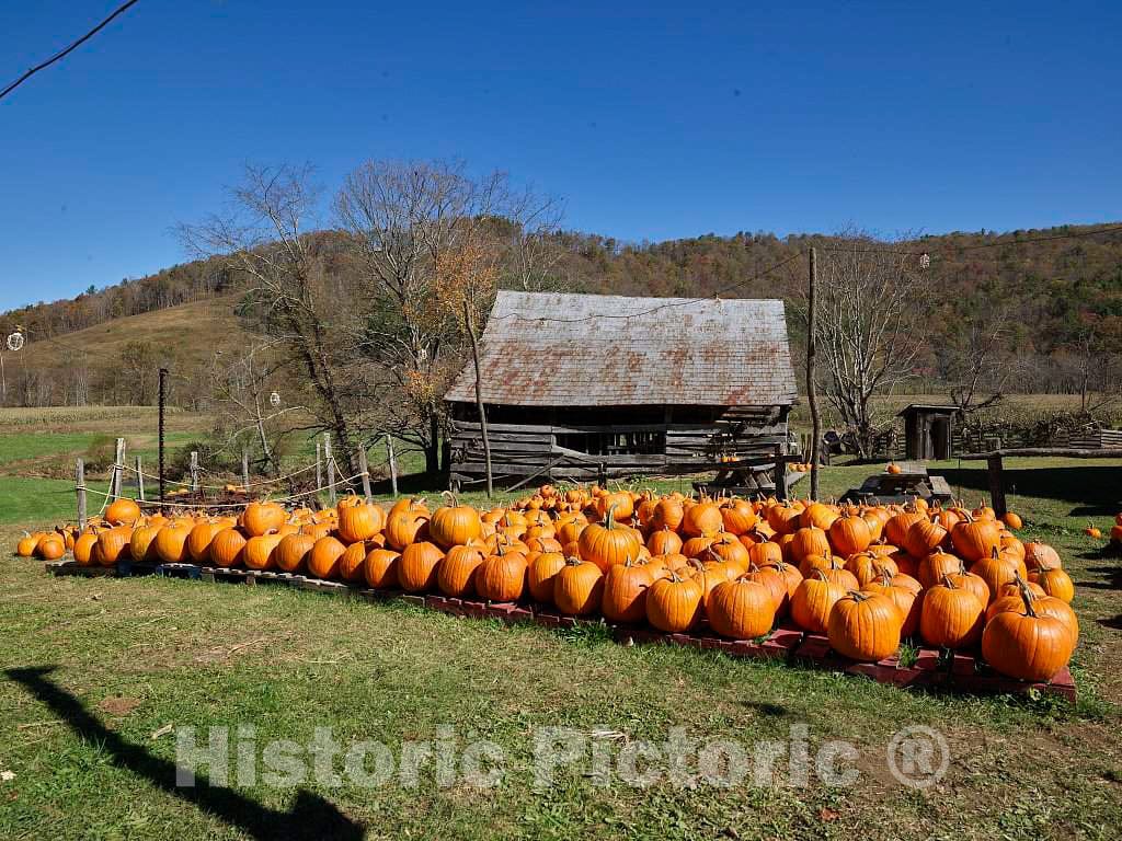Photo- Rustic Cabin associated with The Nearby Mast Farm Inn, and Decorated with Pumpkins for The Fall Season, in Valle Crucis, North Carolina 1 Fine Art Photo Reproduction