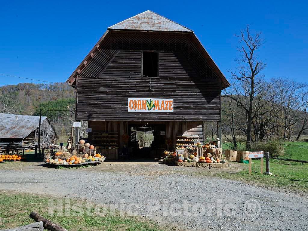 Photo - Harvest Farm in Valle Crucis, a Town in The far-Western Appalachian Mountains of North Carolina, advertises its Corn Maze- Fine Art Photo Reporduction