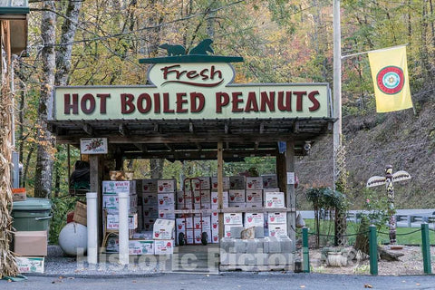 Photo - Sign Advertising a Local Delicacy,hot, Boiled Peanuts,at Bearmeat's Indian Den Craft and Gift Shop in The Town of Cherokee- Fine Art Photo Reporduction
